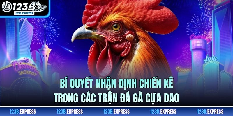 Bí quyết nhận định chiến kê trong các trận đá gà cựa dao