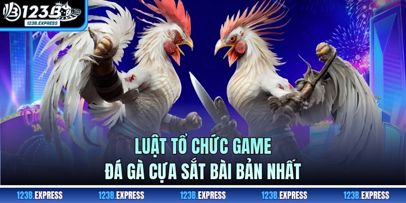 Luật tổ chức game đá gà cựa sắt bài bản nhất